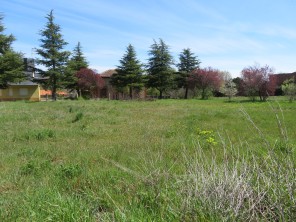 Jardín